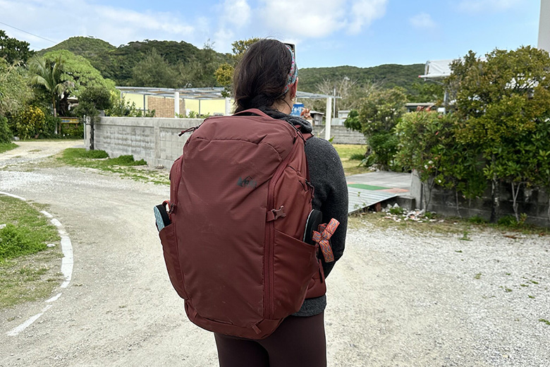 REI Co-op Ruckpack 40 travel pack (shot of full pack)