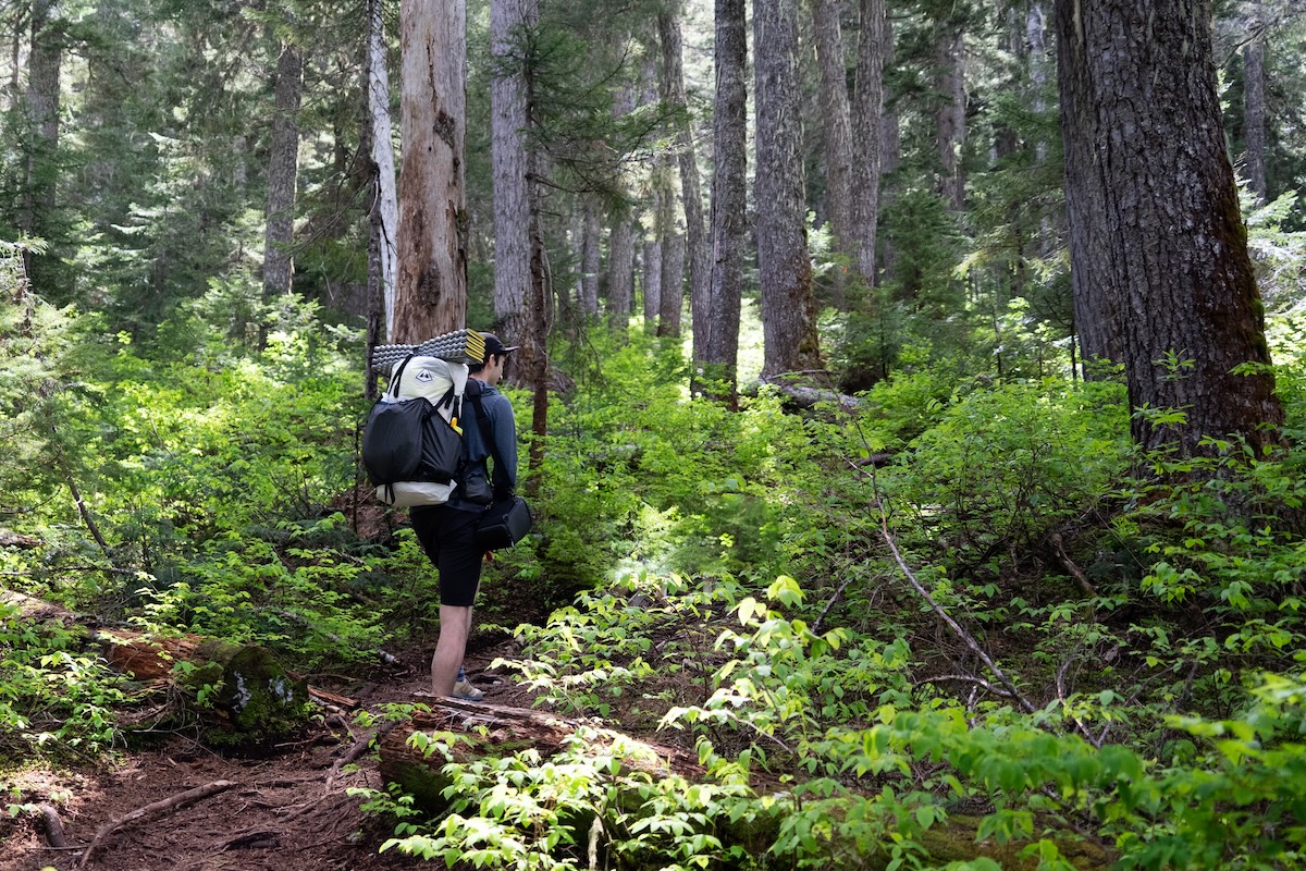 A man backpacking in a forest