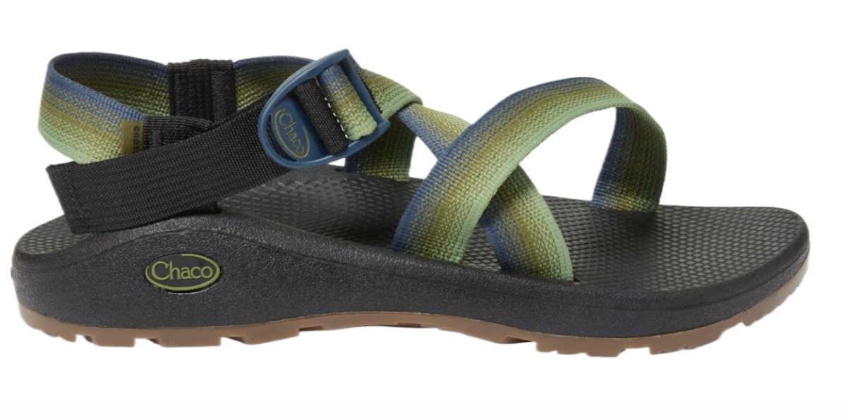 chaco z-cloud (best hiking sandals)