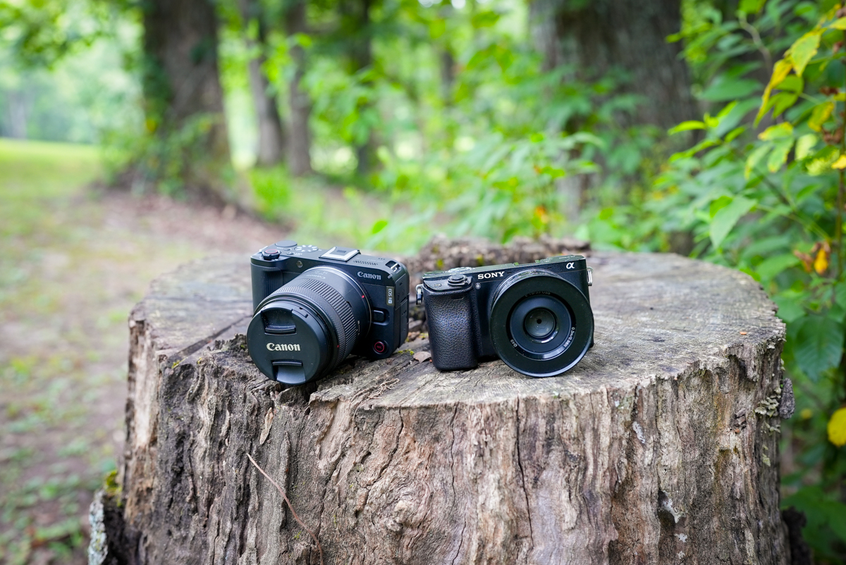 Sony and Canon cameras together