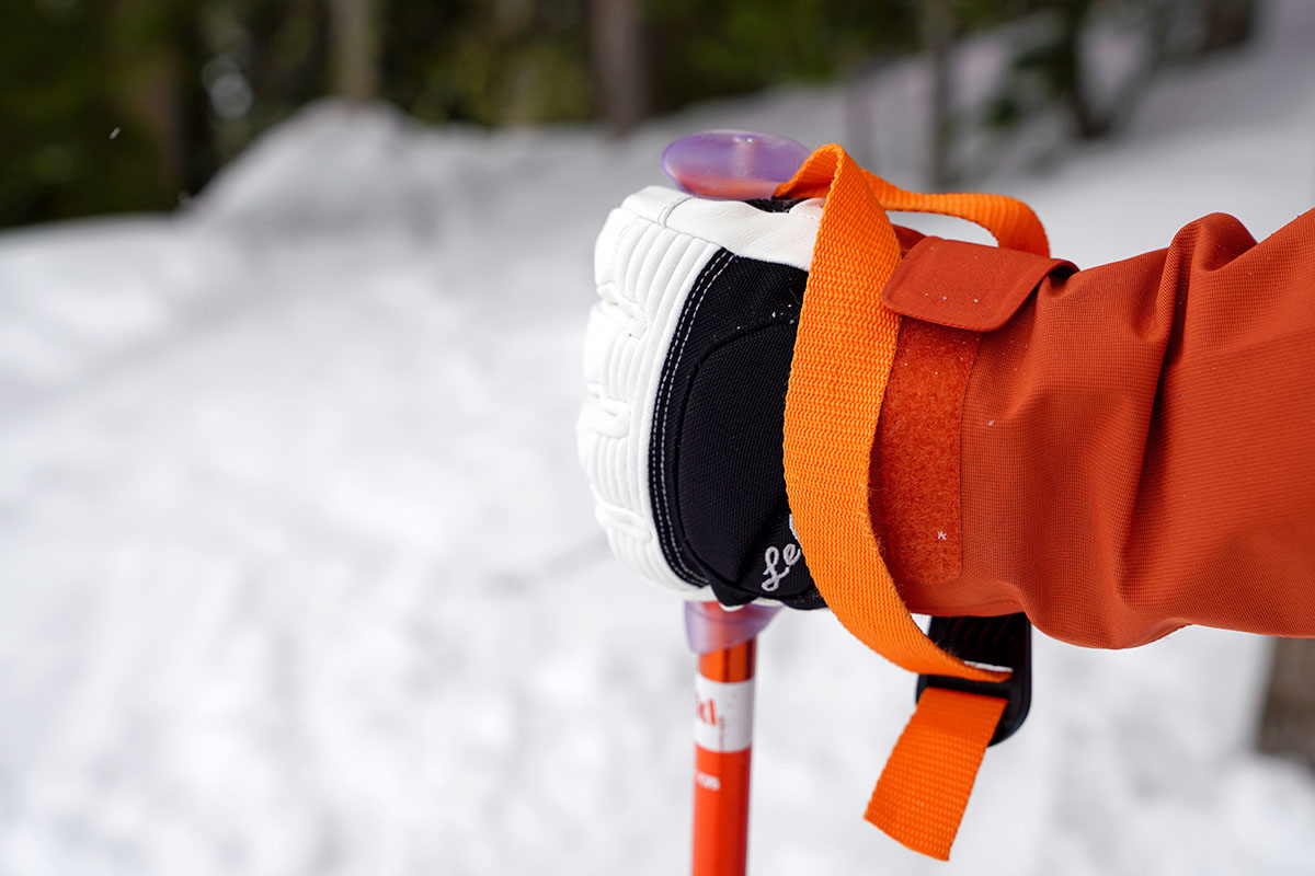 A ski pole strap around a wrist