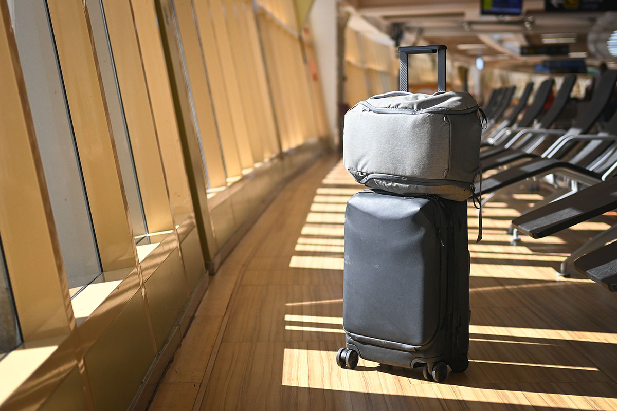 Travel backpack (Peak Design 20L Everyday Pack)