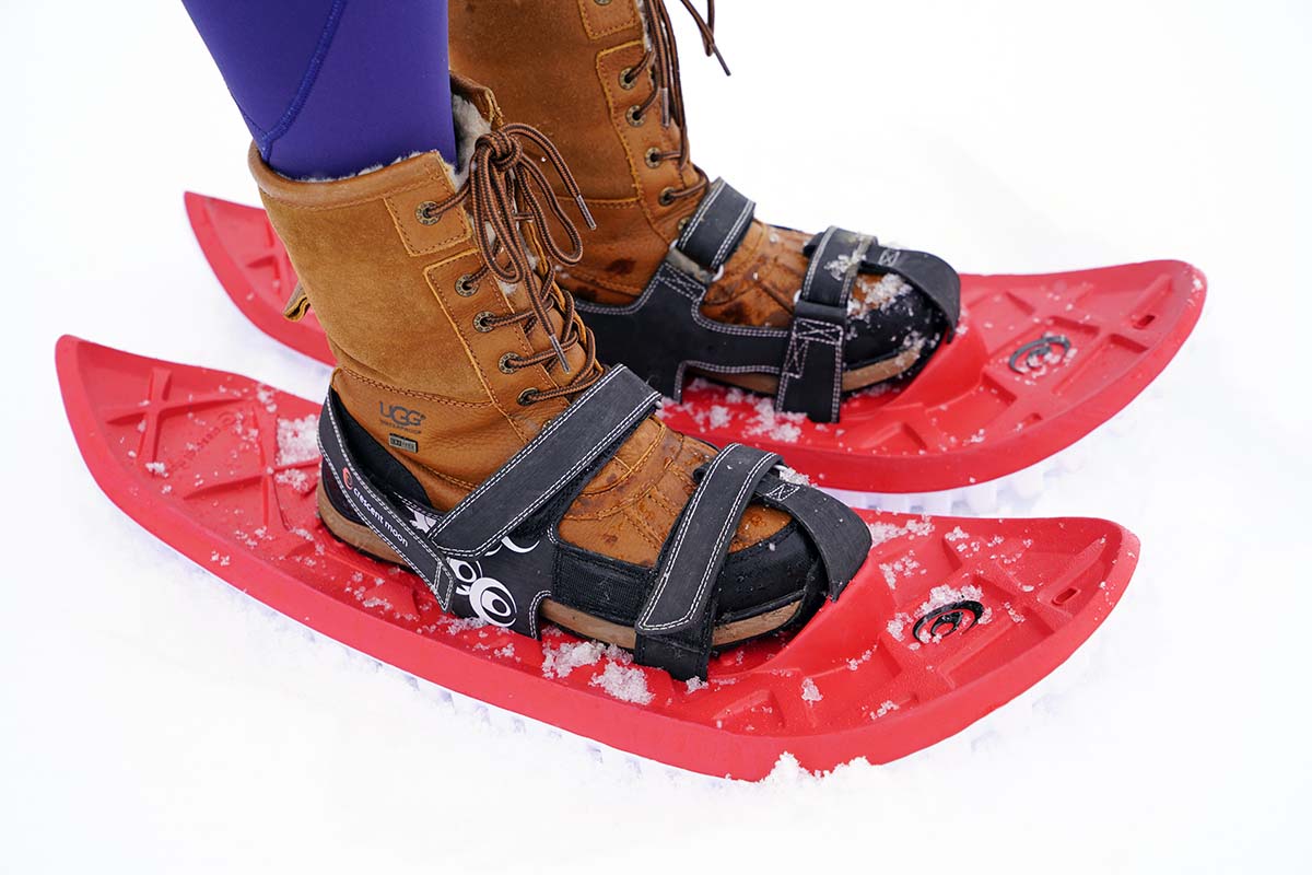 A close up of two red snowshoes in the snow