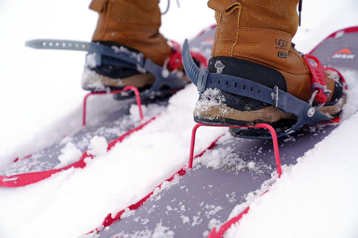 Heel risers on the back of green snowshoes