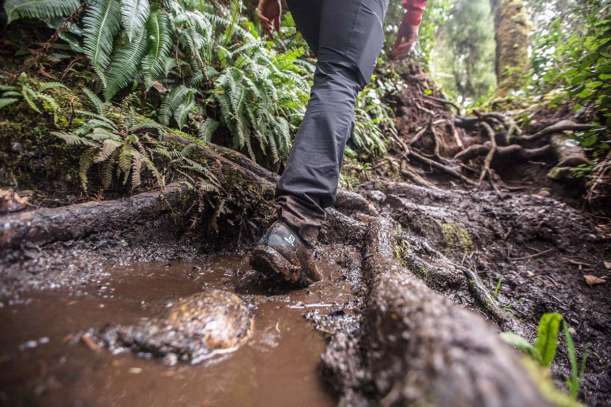A hiker traverses overgrown tree roots and deep mud on the trail.