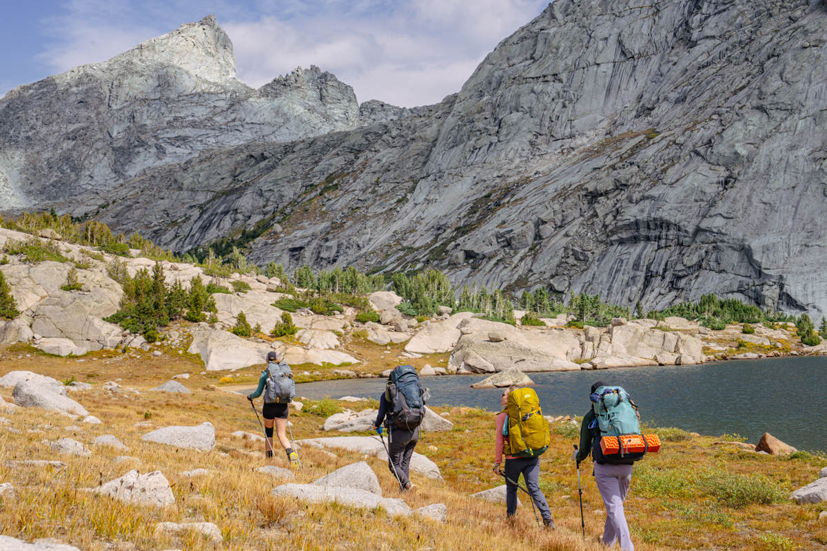 A group of backpackers hike through bright yellow grasses alongside an alpine lake.