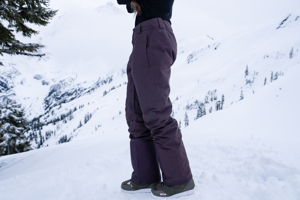A close up of a purplish-brown pair of ski pants
