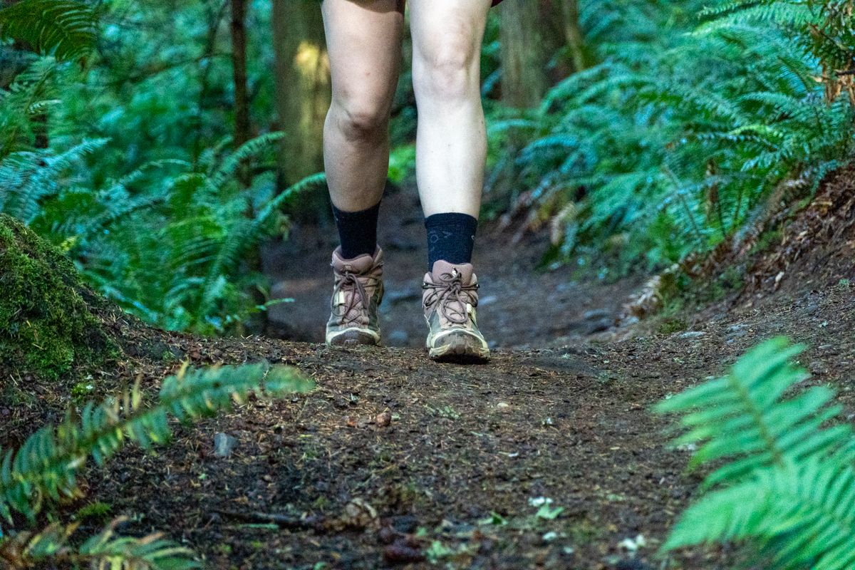 A close up of brown and pink hiking boots walking down a trail with ferns