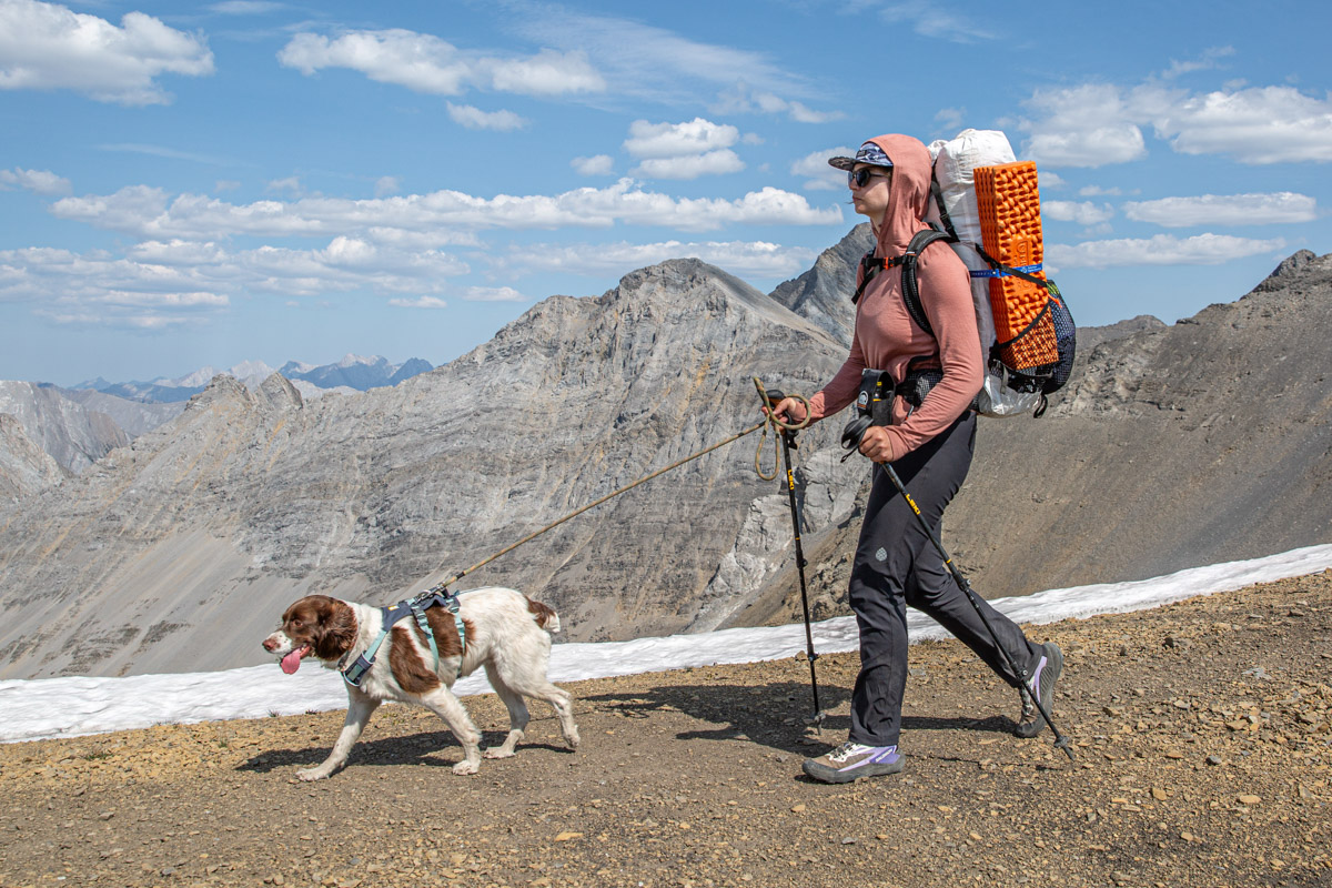 A woman and a dog hiking along a ridge