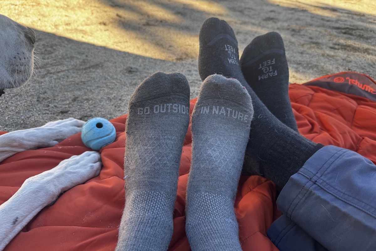 A pair of dog paws and two pairs of human feet with socks