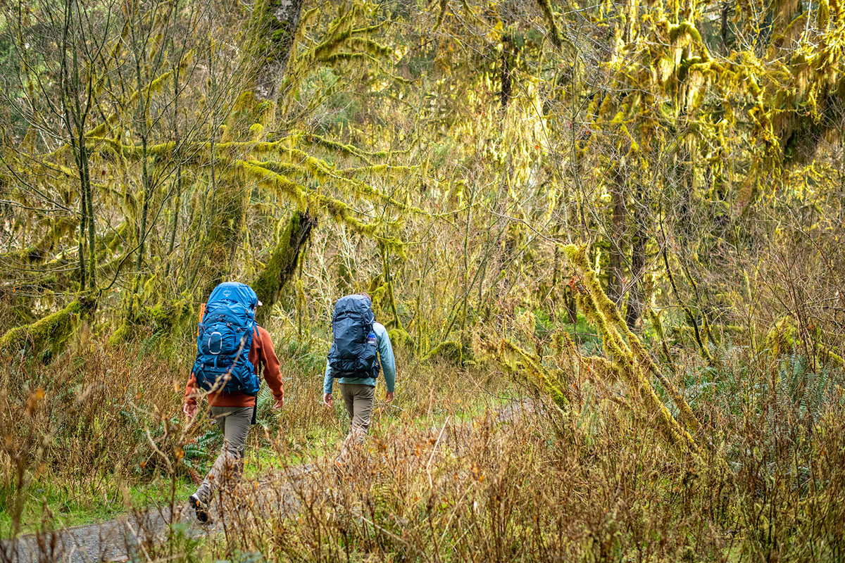 Arc'teryx Covert Cardigan (back shot while hiking)