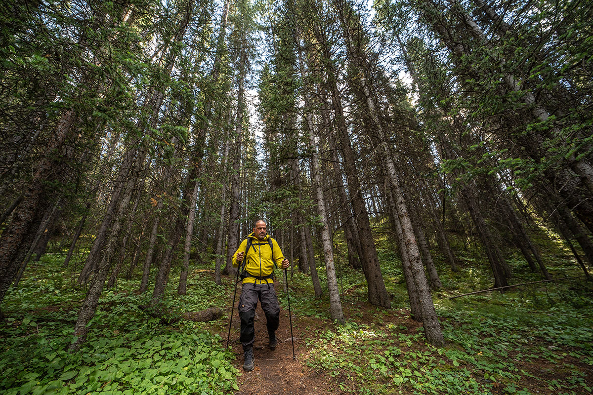 Black Diamond Highline Stretch Shell (hiking through forest)