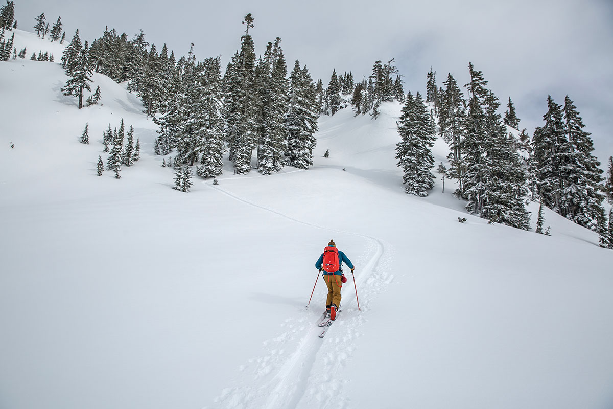 Dynafit Hoji Free ski boots (skinning 2)