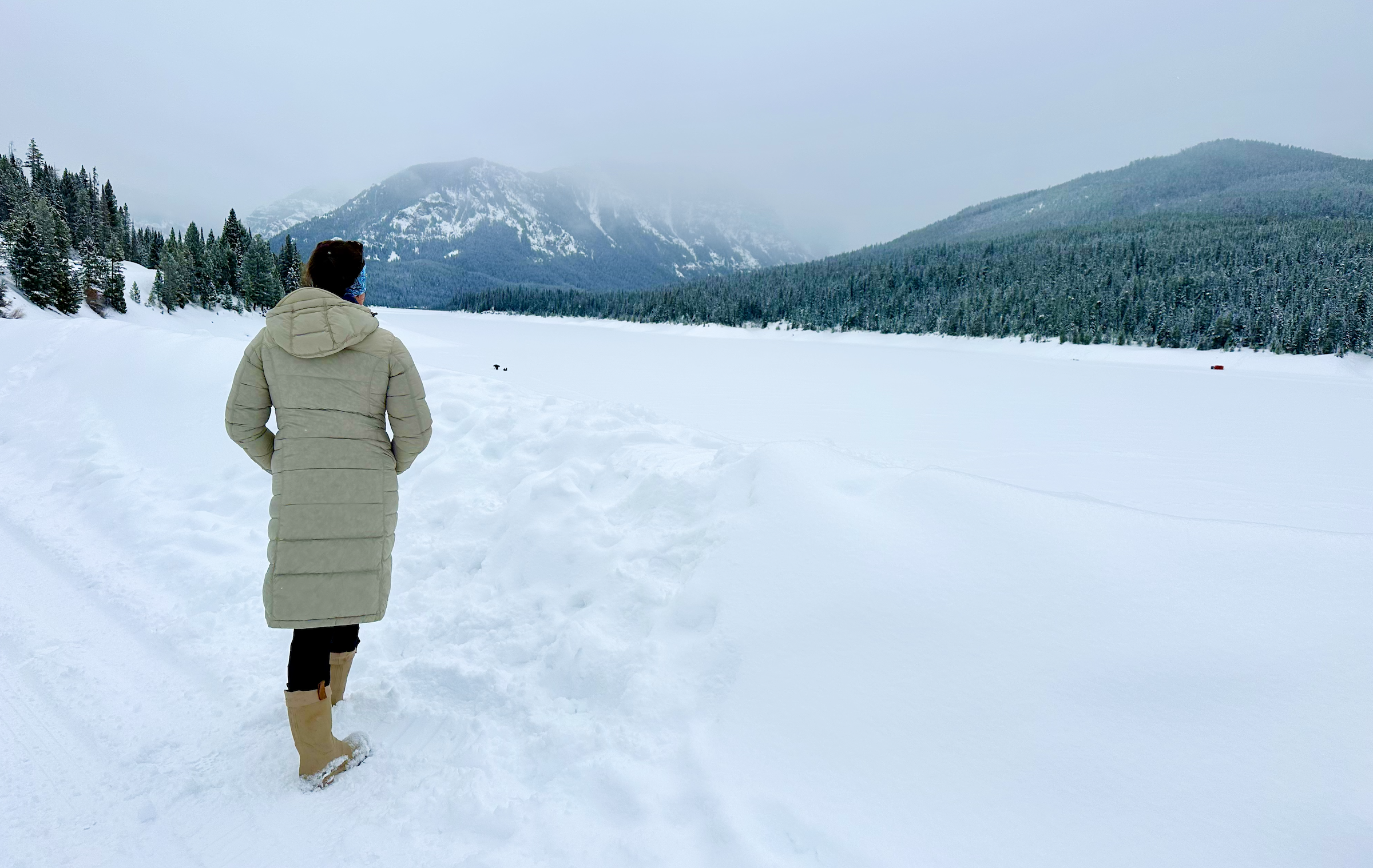 Kuhl Crossfire parka hyalite