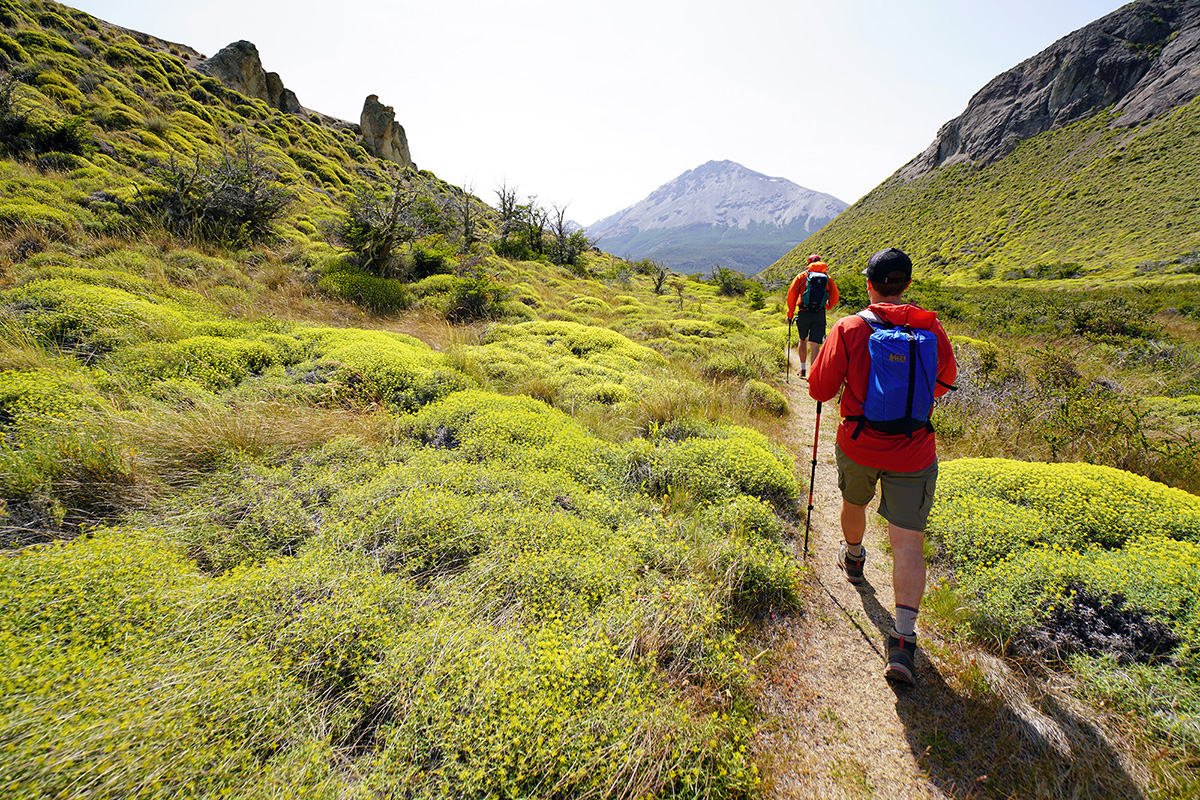 Patagonia Houdini Air windbreaker jacket (hiking in green bushes)