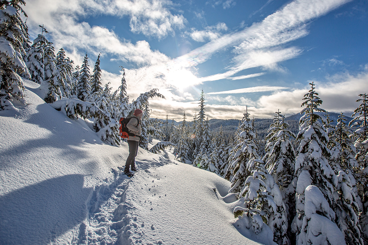 Patagonia R1 TechFace Hoody (wide shot in backcountry)