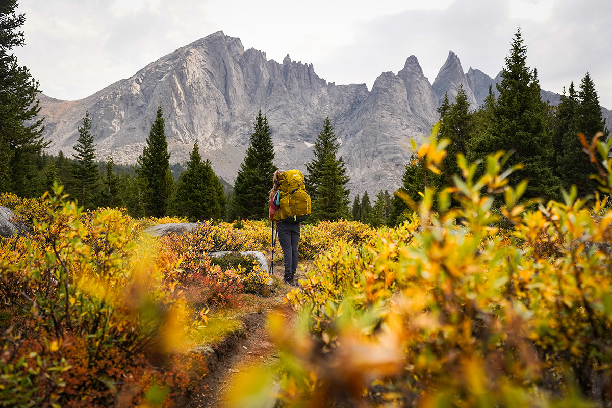 REI Co-op Flash 55 pack (standing in fall colors)