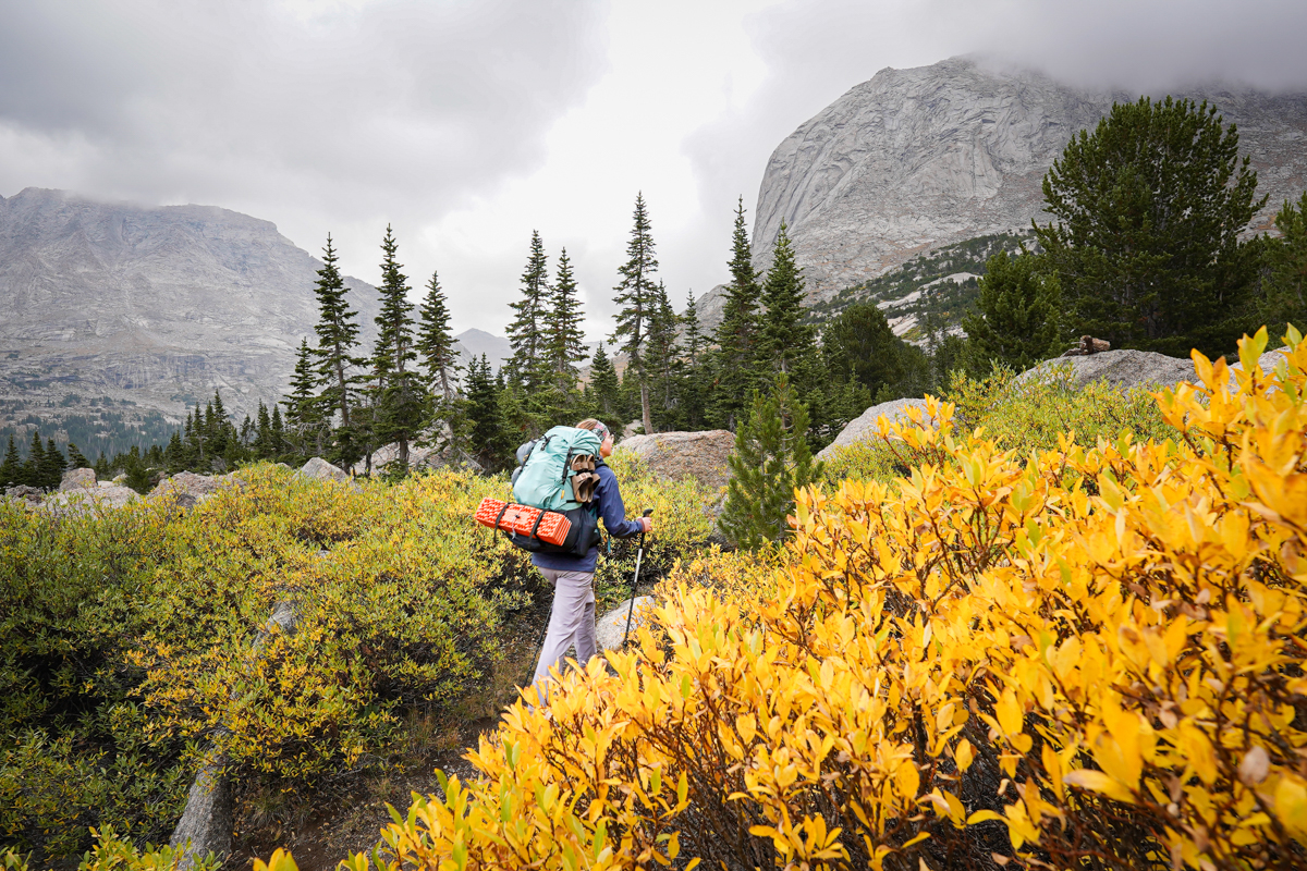 REI Co-op Trailmade 60 (hiking through orange bushes)