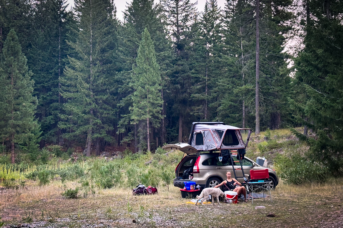 Deep in the backwoods with the Condor 2