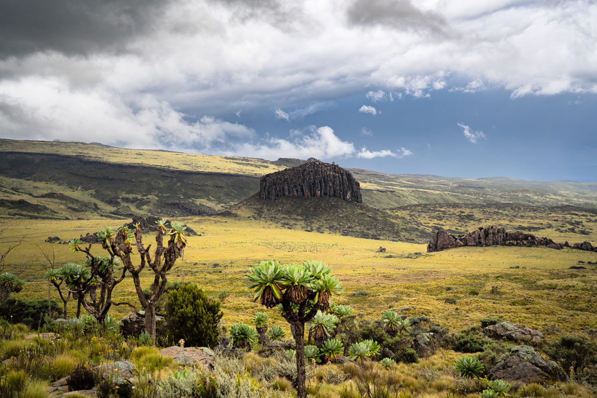 A classic Aberdare scene