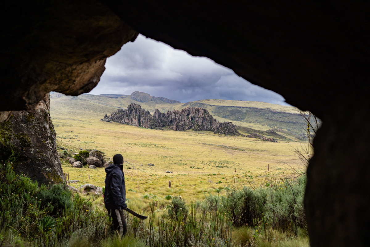 Looking back at Dragon's Teeth