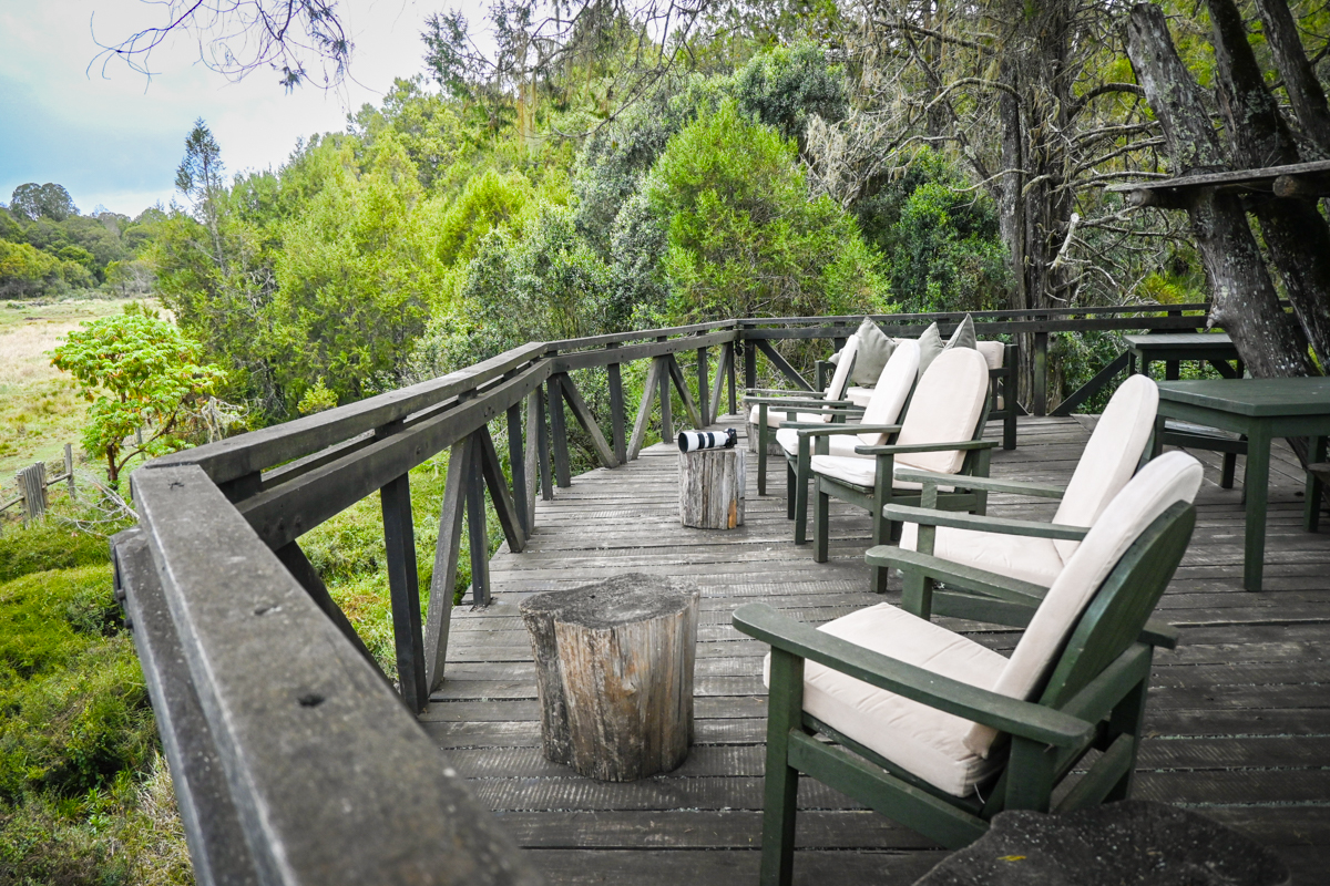 The broad viewing deck at Cedar Retreat