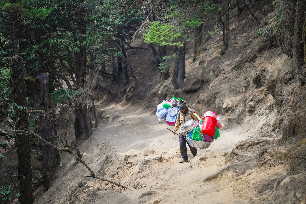 Nepal Trip Report (a porter carrying cargo to Namche)