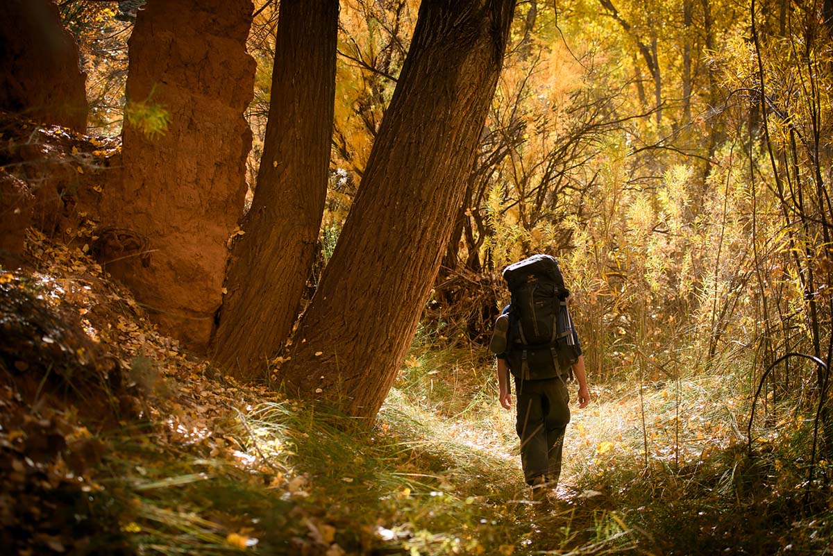 salt creek canyon (hiking)