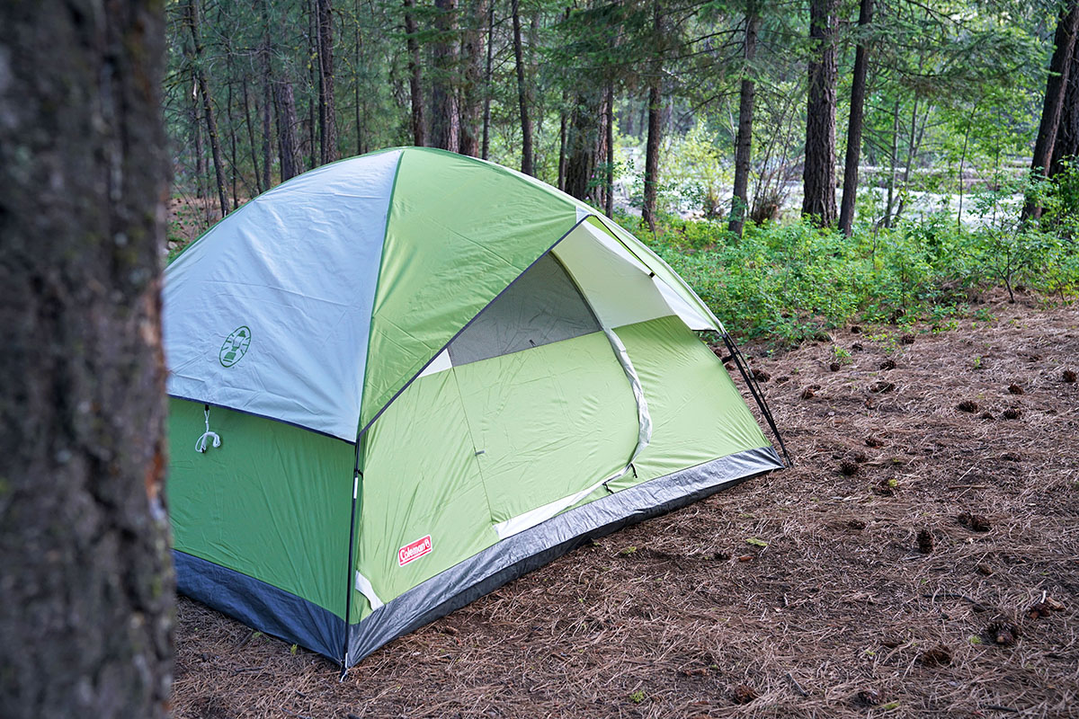 The Coleman Sundome tent is pitched under a pine tree in the forest.