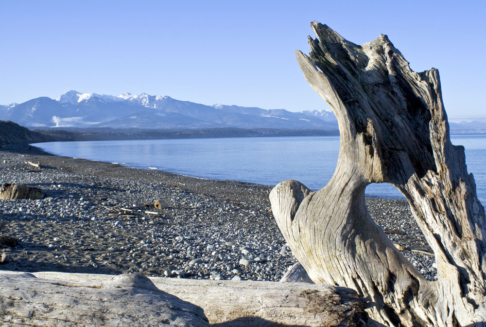 Dungeness Spit Washington