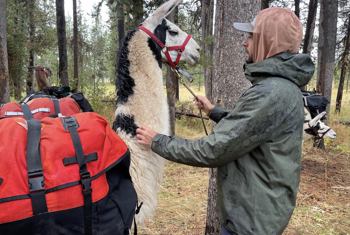 A man wearing the marmot minimalist pertex jacket on a llama-packing trip
